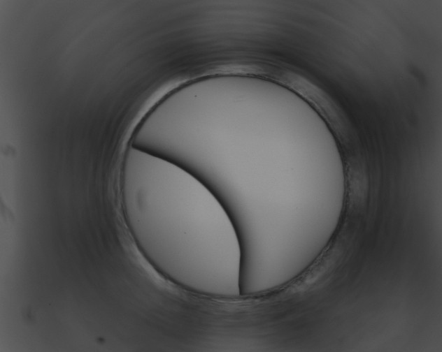 X0000090860852200708030946