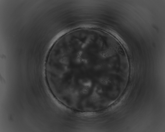 X0000090860853200708030946