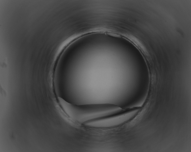 X0000090860854200708030946