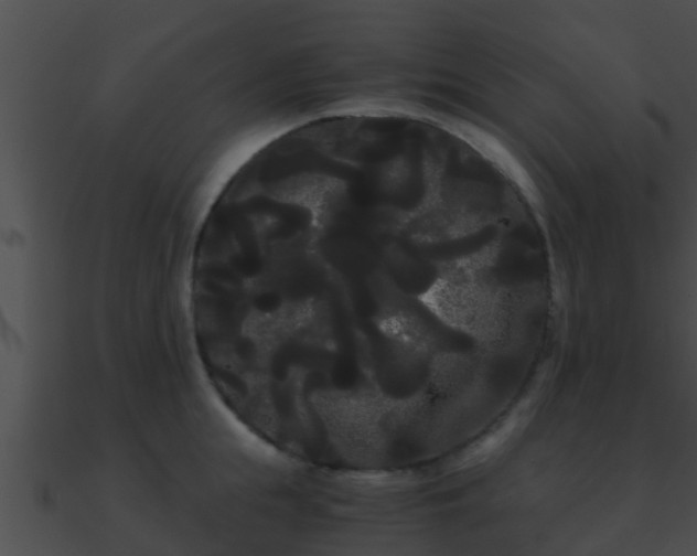 X0000090860855200708030946