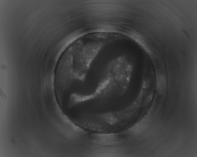 X0000090860856200708030946