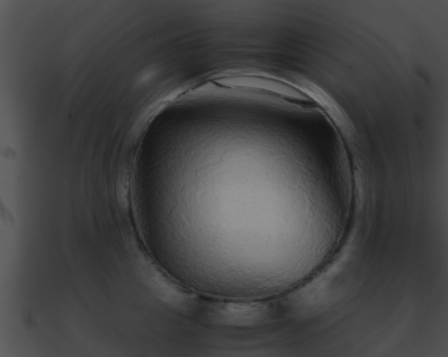 X0000090860857200708030946