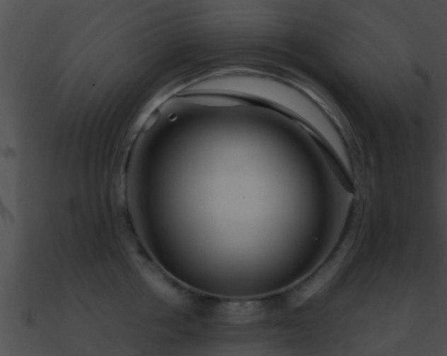 X0000090860858200708030946