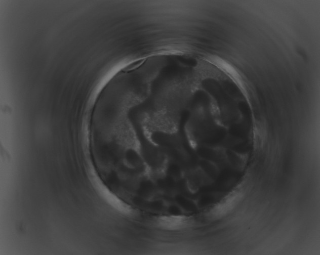X0000090860859200708030946