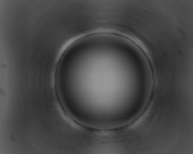 X0000090860862200708030946