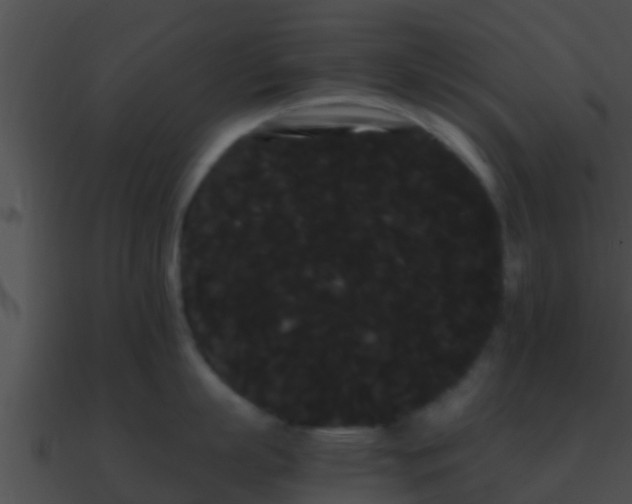 X0000090860863200708030946