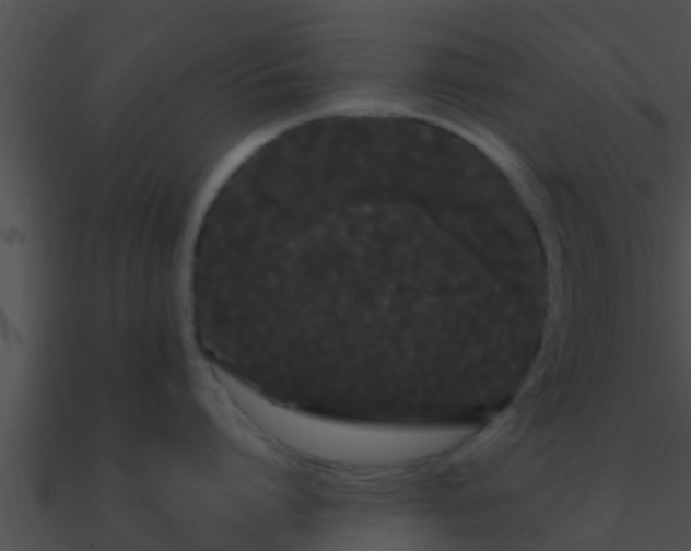 X0000090860864200708030946