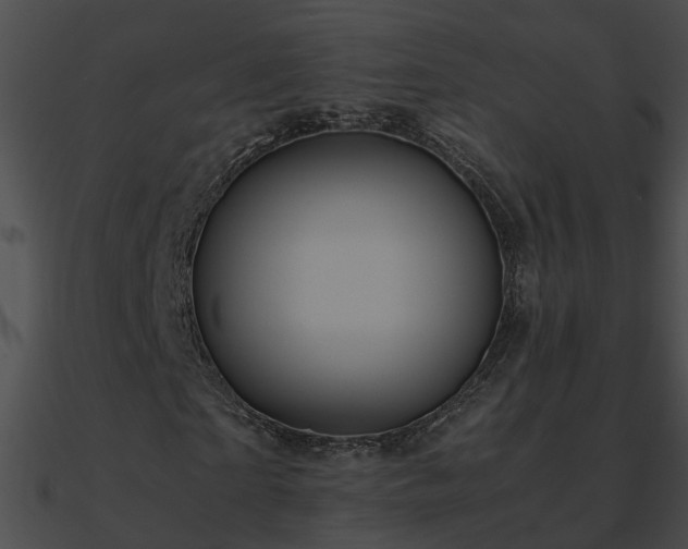 X0000090860865200708030945