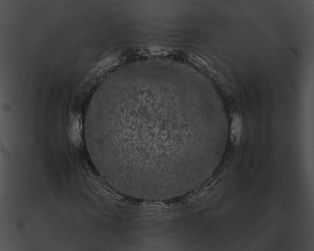 X0000090860866200708030945