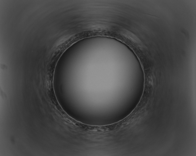 X0000090860869200708030945