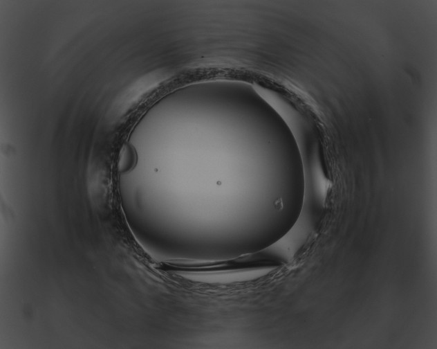 X0000090860872200708030945