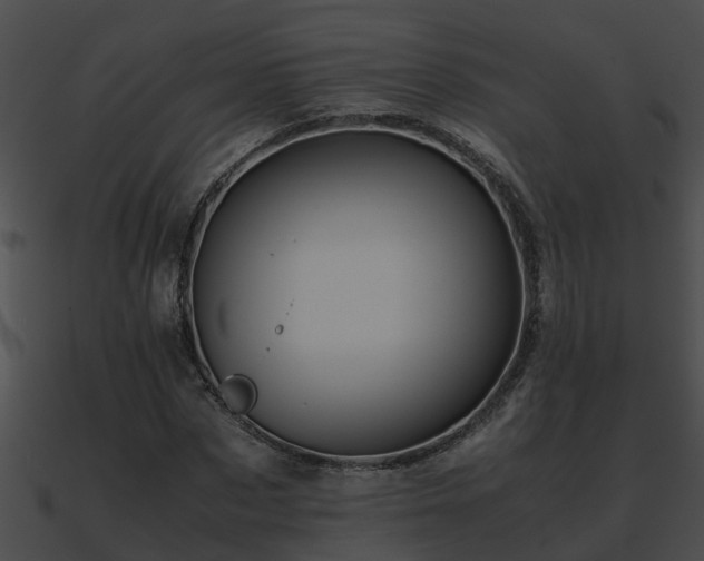 X0000090860873200708030945