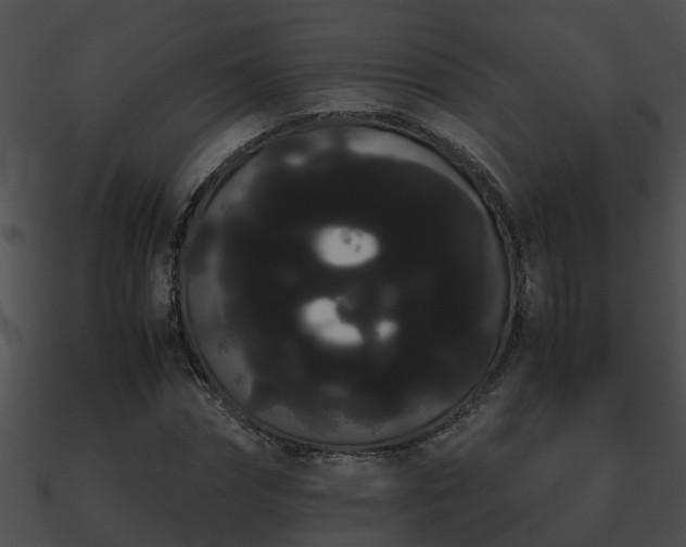 X0000090860874200708030945
