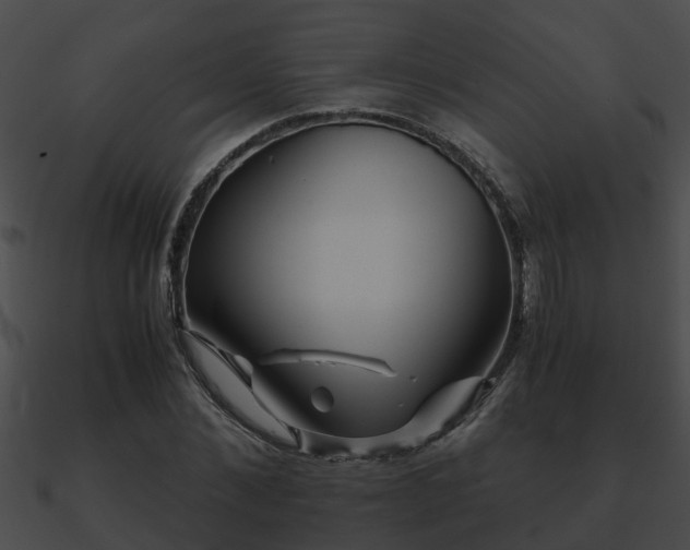 X0000090860876200708030945