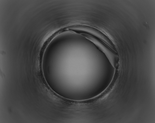 X0000090860877200708030945