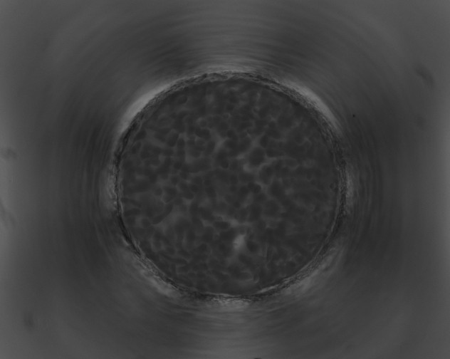 X0000090860878200708030945