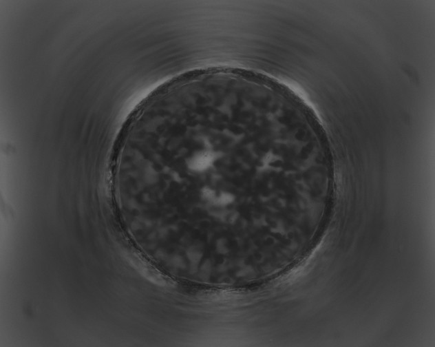 X0000090860879200708030945