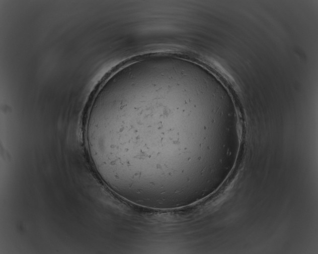 X0000090860883200708030945