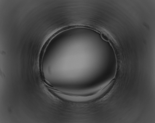 X0000090860884200708030945