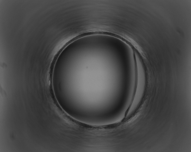 X0000090860885200708030945