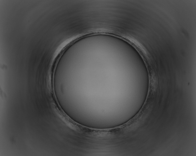 X0000090860886200708030945