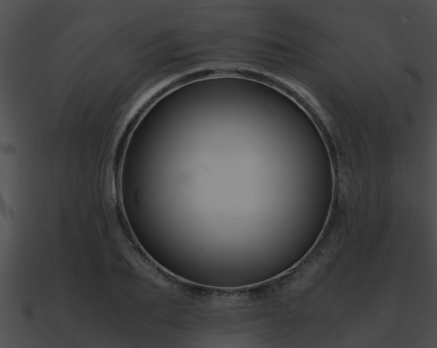 X0000090860887200708030945