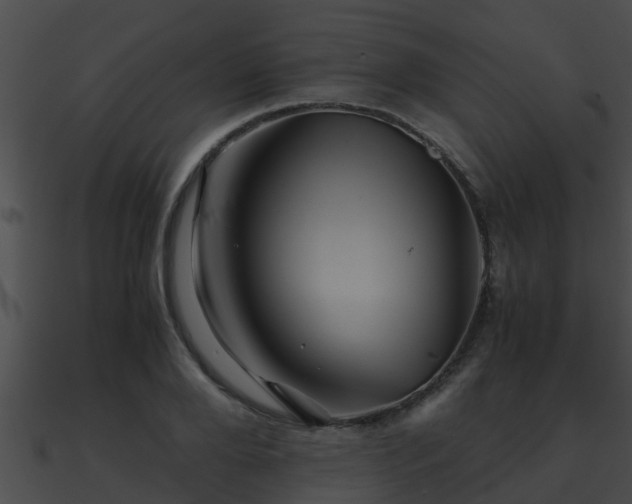 X0000090860888200708030945