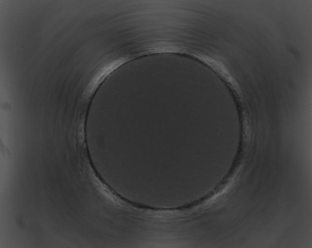 X0000090860889200708030945