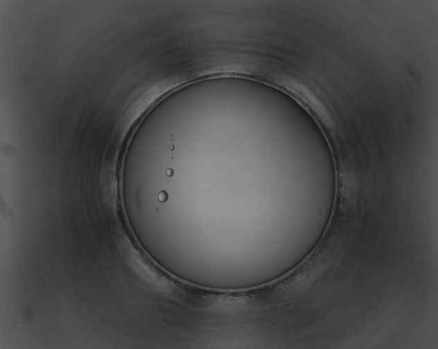 X0000090860890200708030945