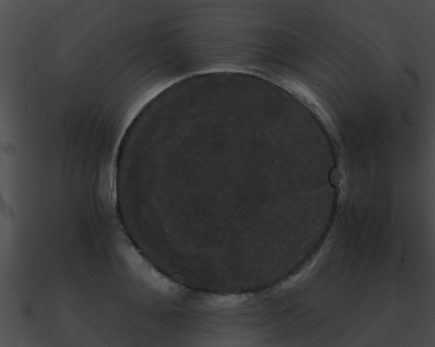X0000090860892200708030945