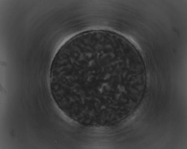 X0000090860895200708030945