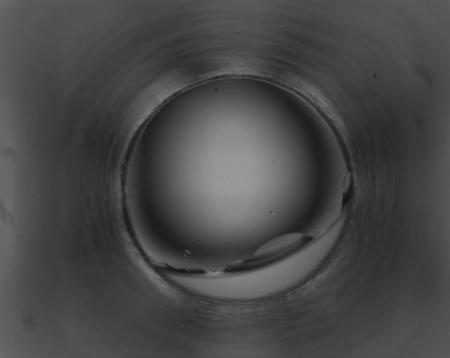 X0000090860898200708030945