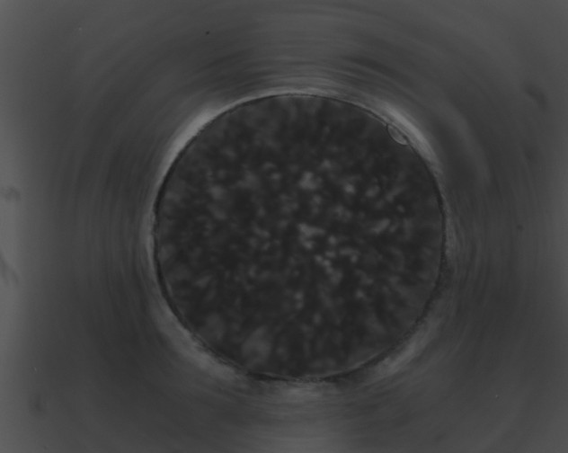 X0000090860899200708030945