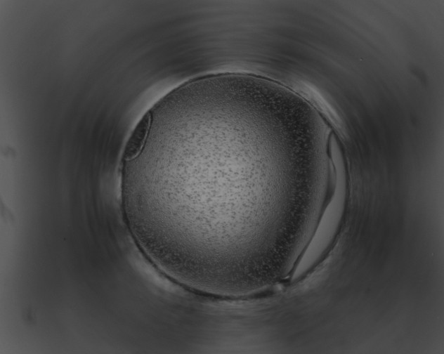 X0000090860900200708030945