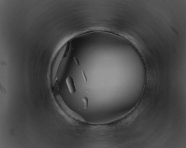 X0000090860902200708030945