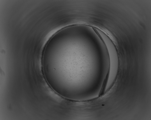 X0000090860904200708030945
