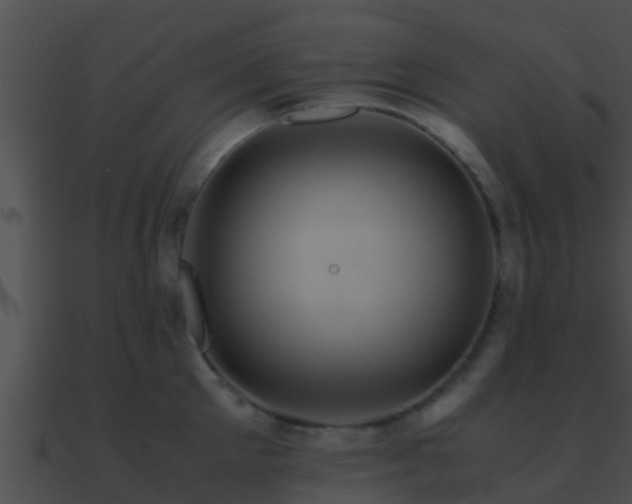 X0000090860905200708030945
