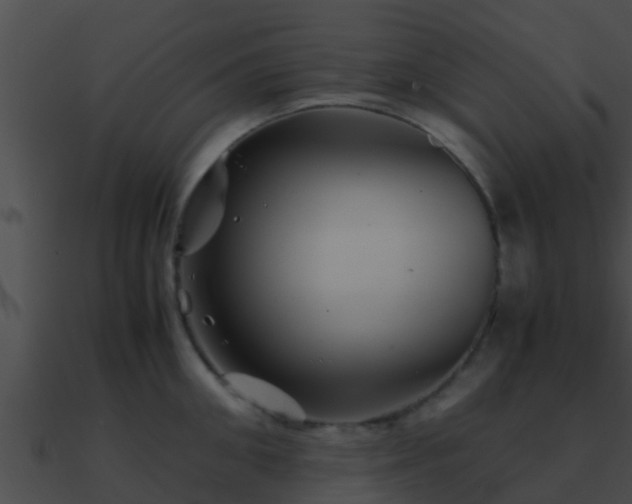 X0000090860906200708030945