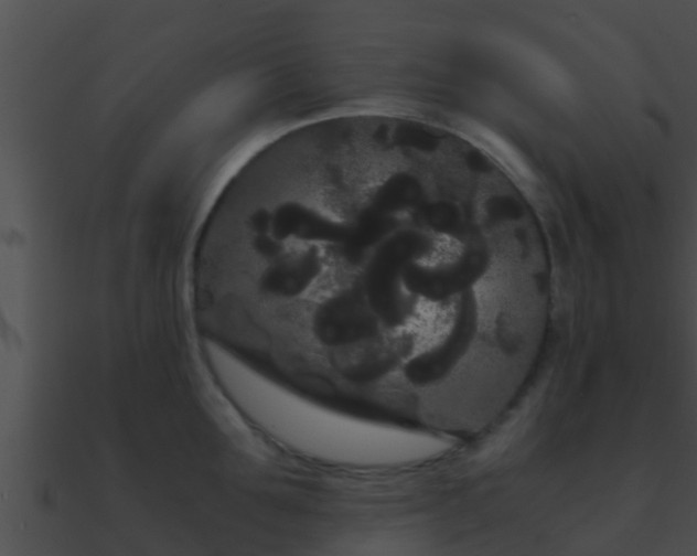 X0000090860907200708030945