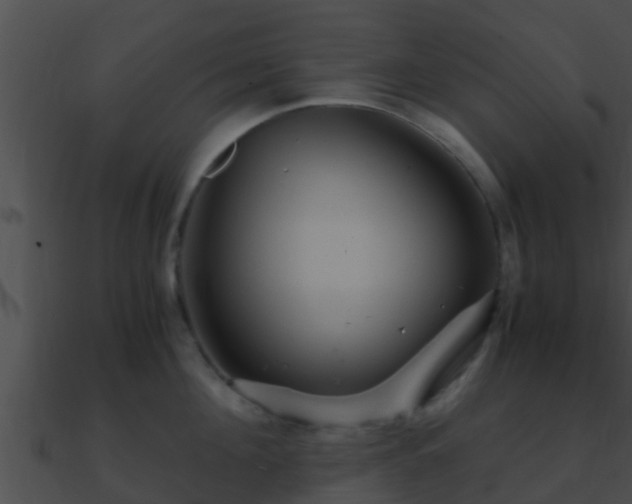 X0000090860908200708030945