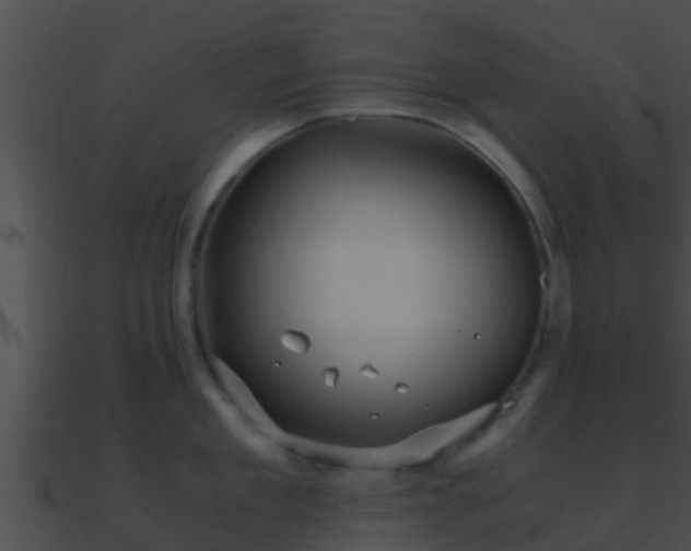 X0000090860909200708030945