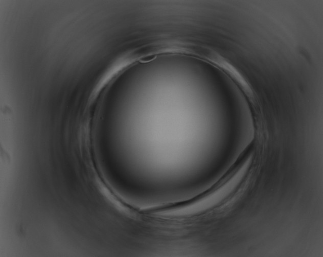 X0000090860910200708030945
