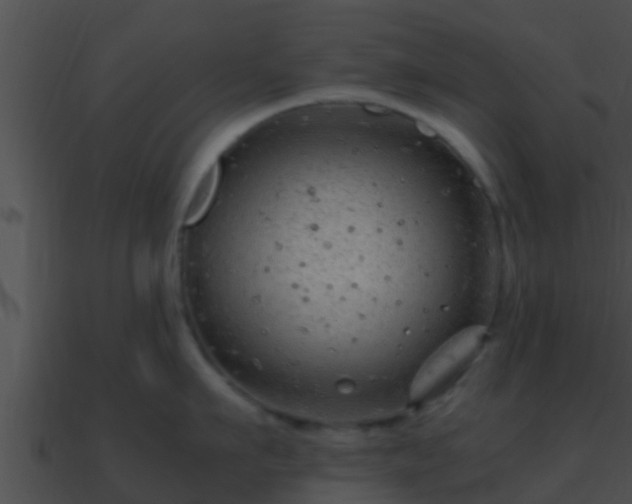 X0000090860911200708030945