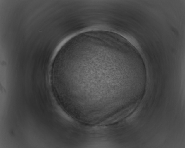 X0000090860912200708030945
