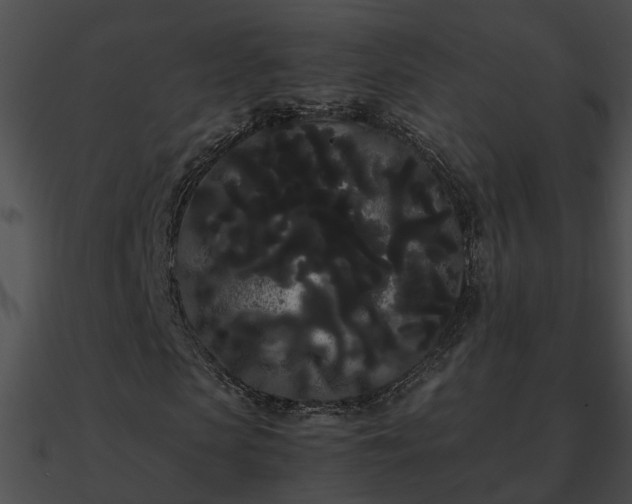 X0000090860913200708030944