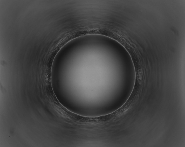 X0000090860916200708030944