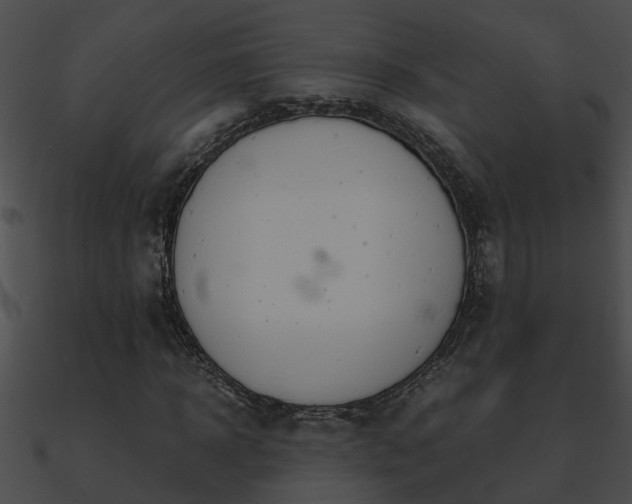 X0000090860918200708030944
