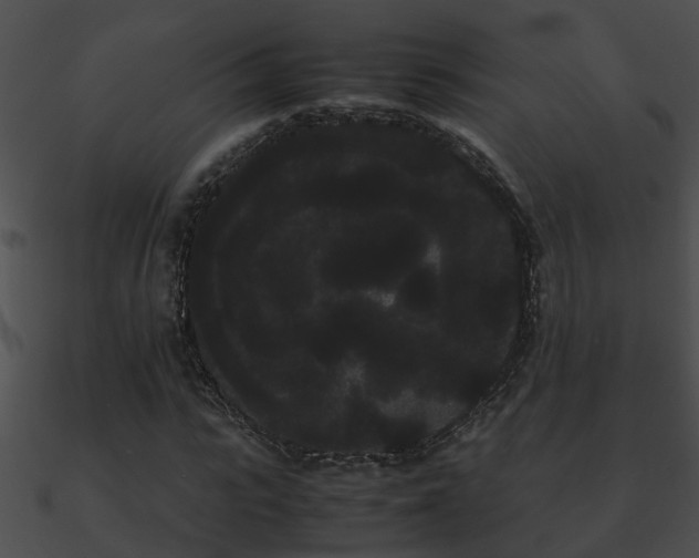 X0000090860919200708030944