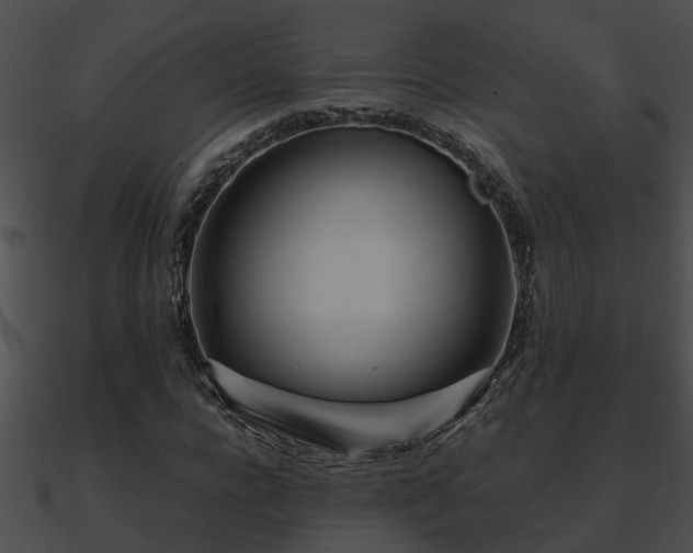 X0000090860920200708030944