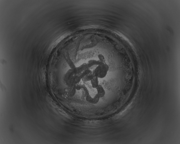 X0000090860921200708030944